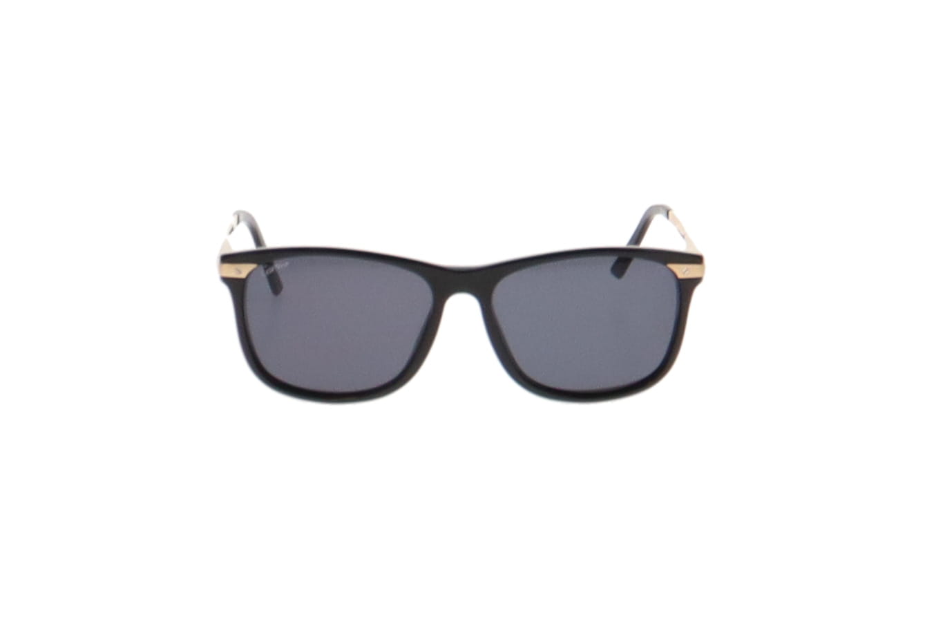 Cartier High Bridge Sunglasses CT0104S