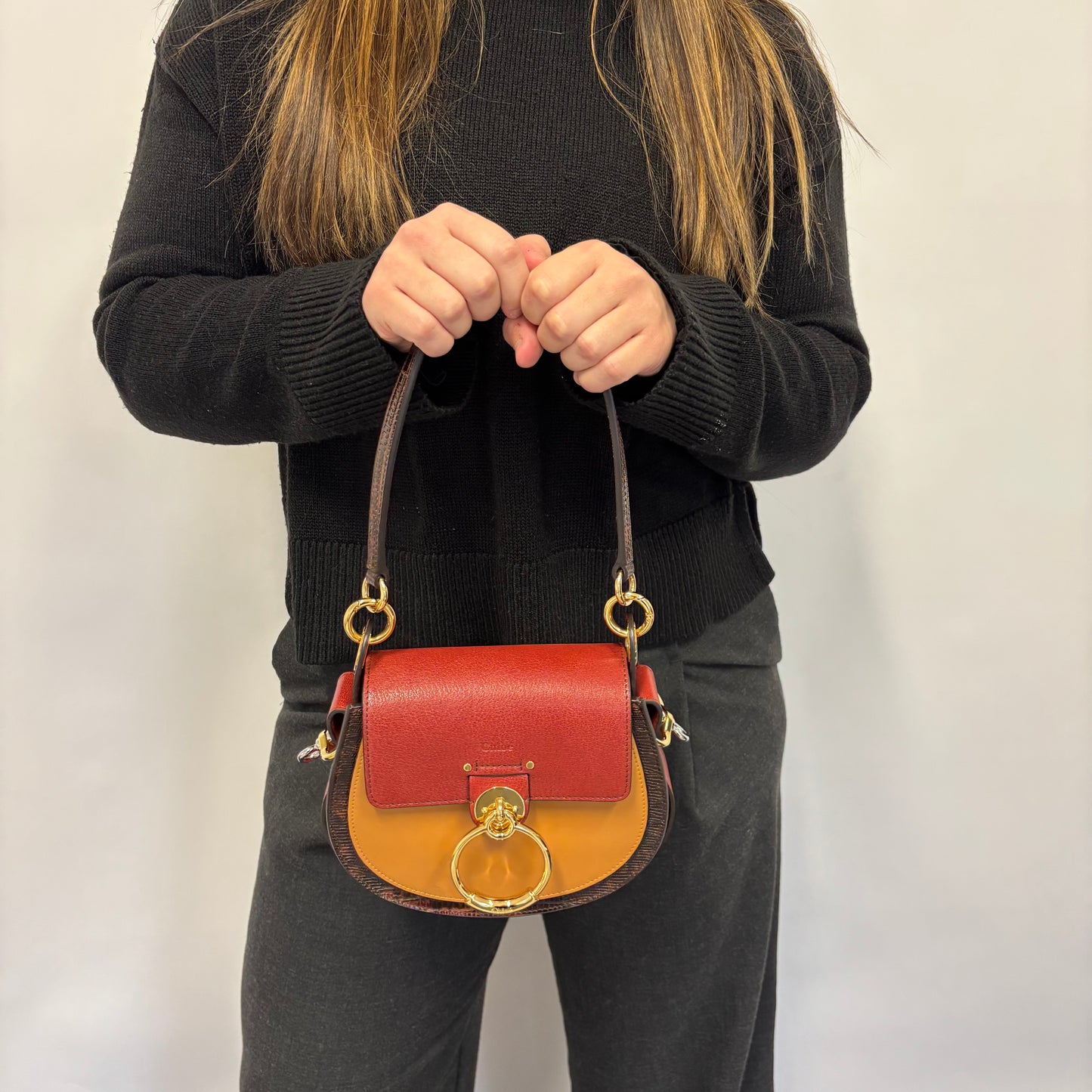 Chloe Sepia Brown and Red Tess Bag