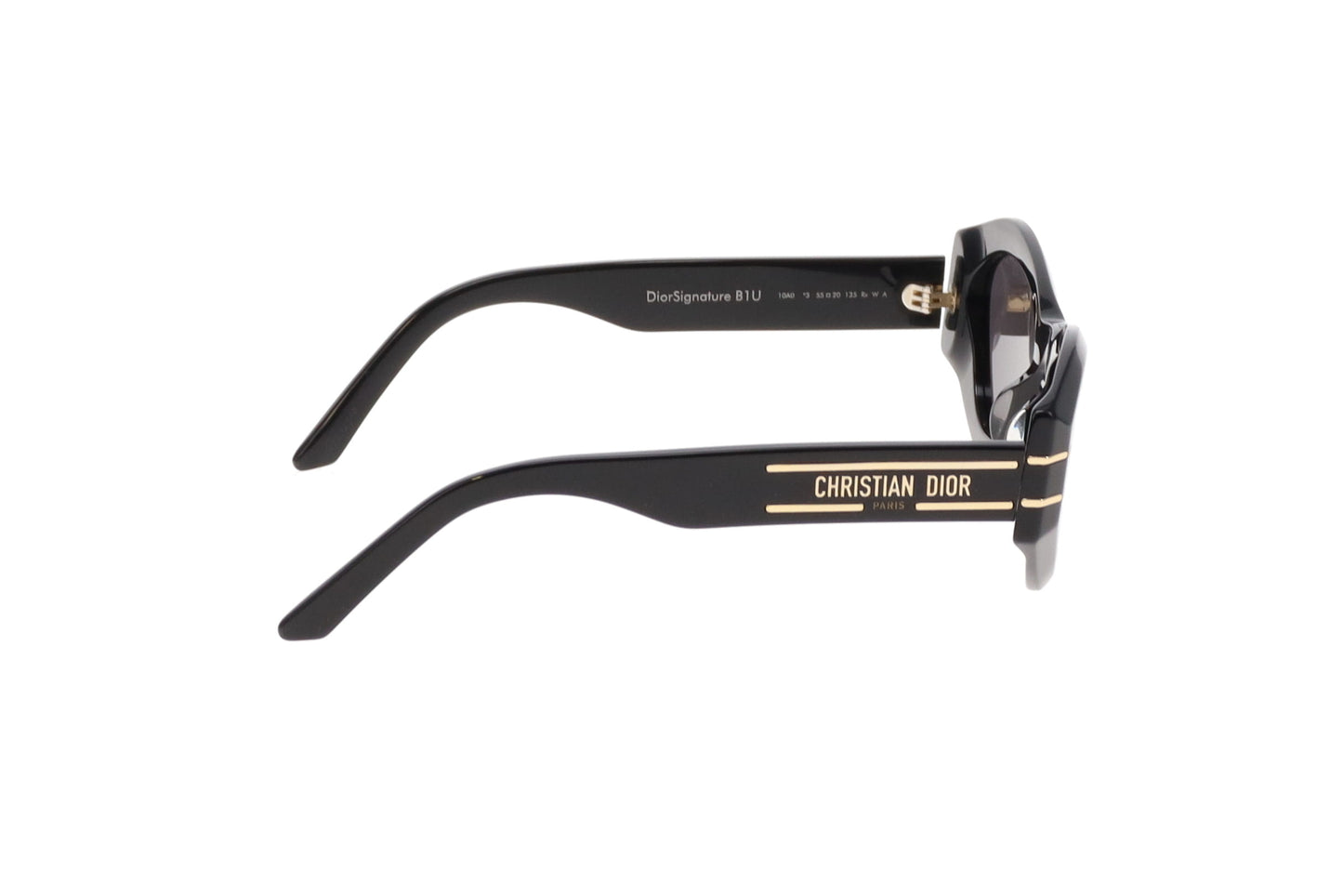 Dior Black and Gold Dior Signature B1U Sunglasses