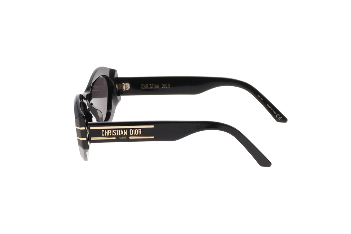 Dior Black and Gold Dior Signature B1U Sunglasses