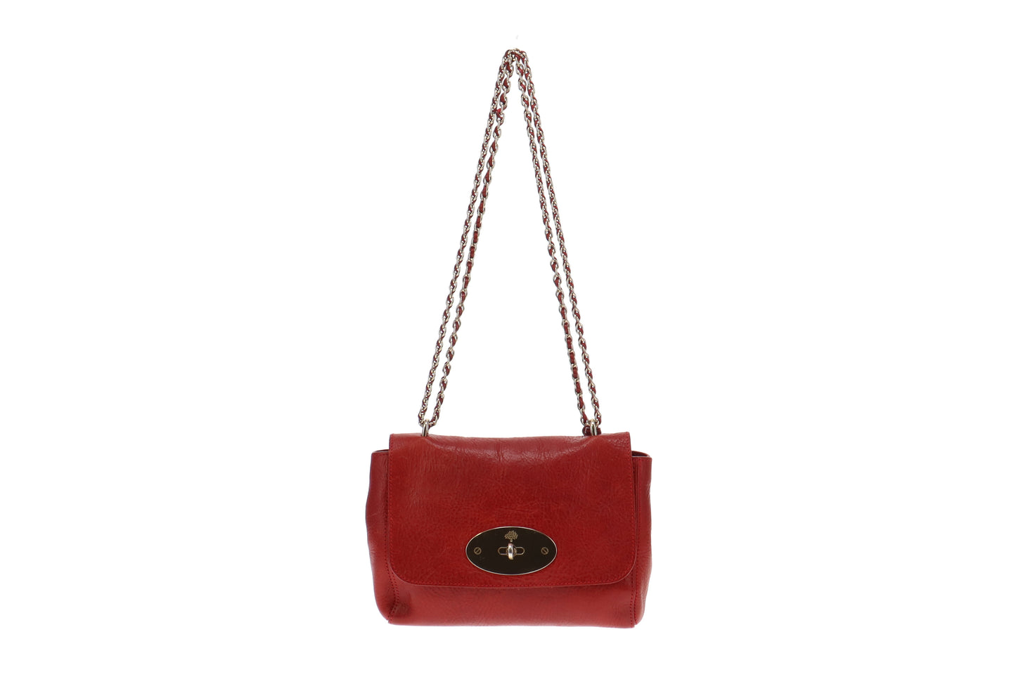 Mulberry Poppy Red Regular Lily GHW