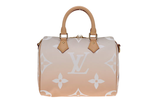 Louis Vuitton Ltd Ed Brume By The Pool Speedy Bandouliere 25