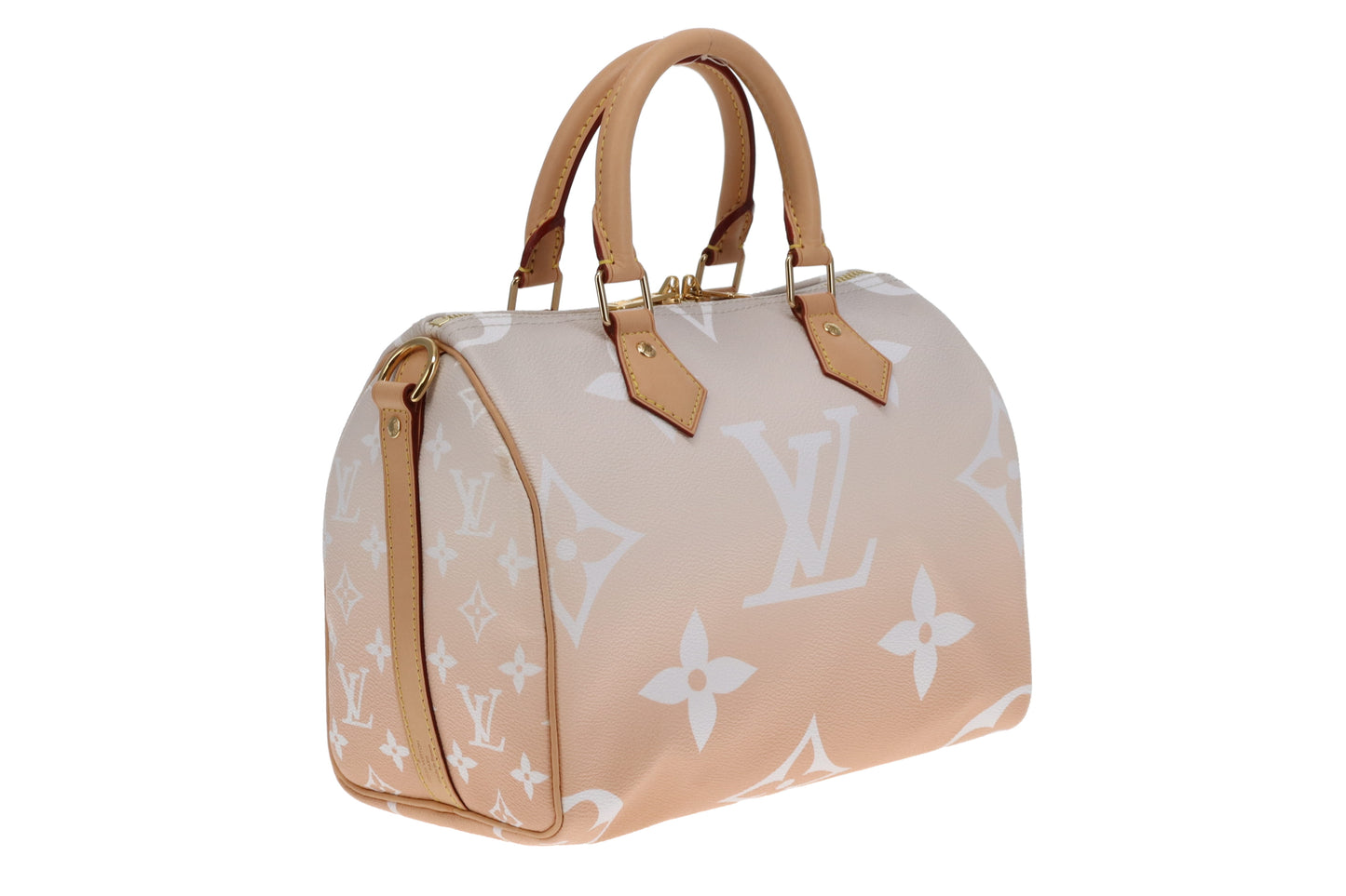 Louis Vuitton Ltd Ed Brume By The Pool Speedy Bandouliere 25