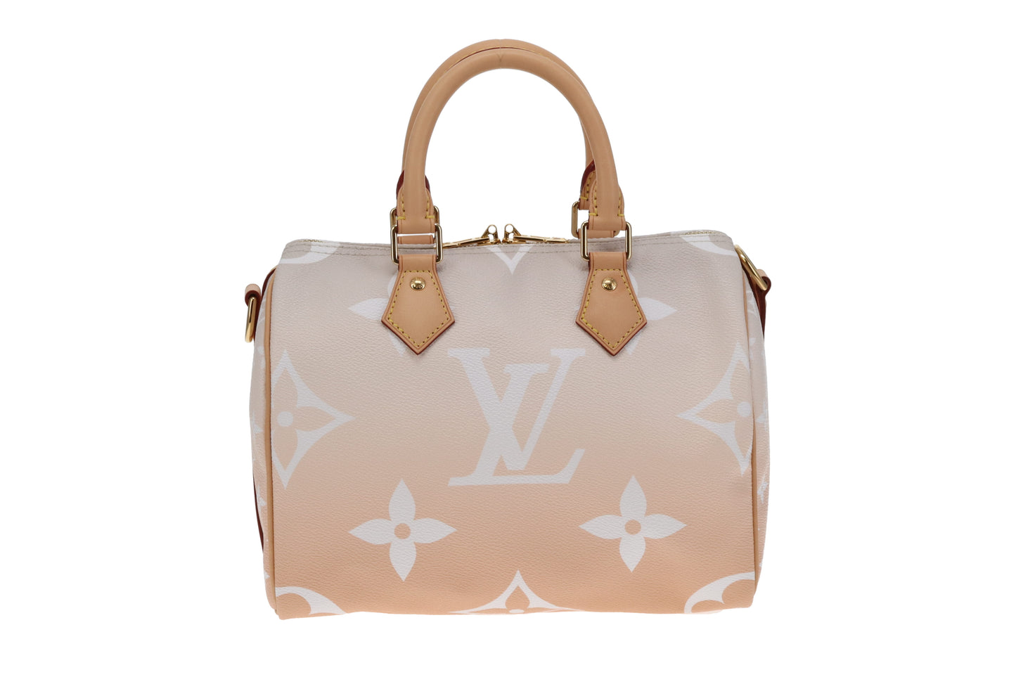 Louis Vuitton Ltd Ed Brume By The Pool Speedy Bandouliere 25