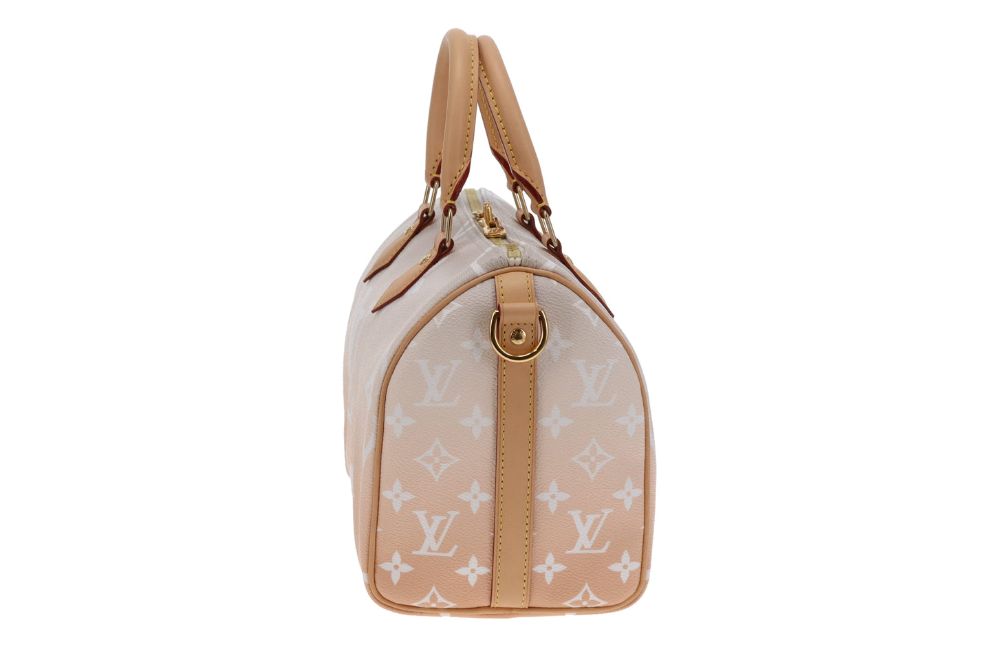 Louis Vuitton Ltd Ed Brume By The Pool Speedy Bandouliere 25