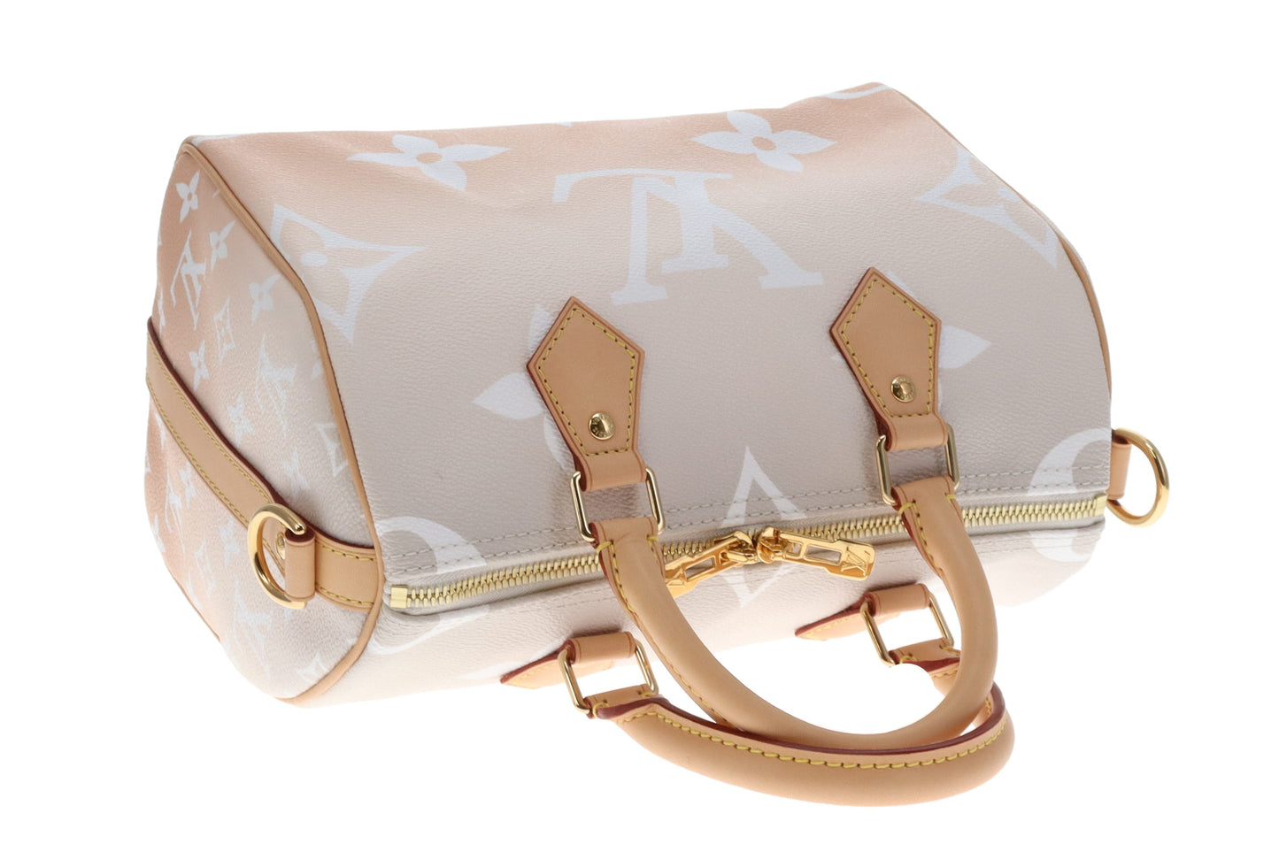 Louis Vuitton Ltd Ed Brume By The Pool Speedy Bandouliere 25