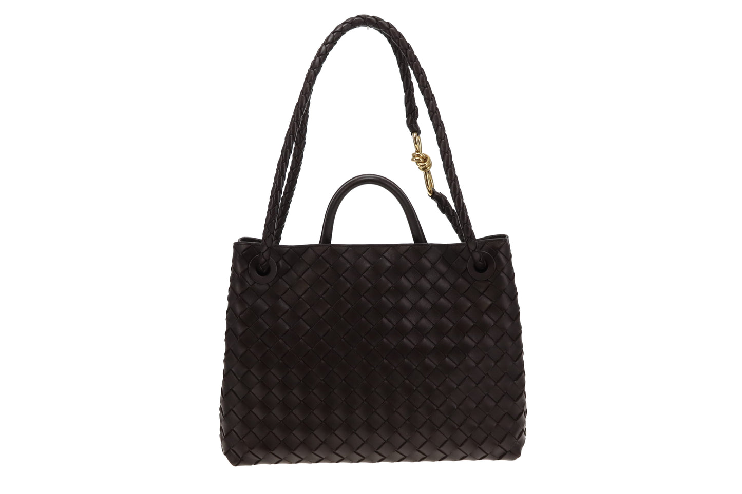 Bottega Veneta Fondant Andiamo Medium (RRP €4500)