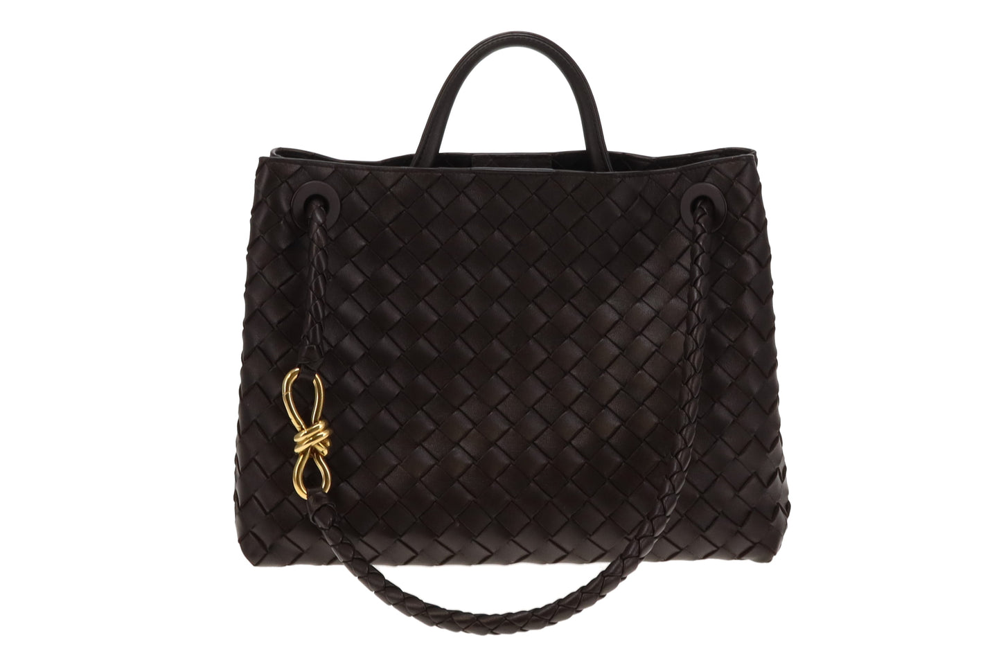 Bottega Veneta Fondant Andiamo Medium (RRP €4500)