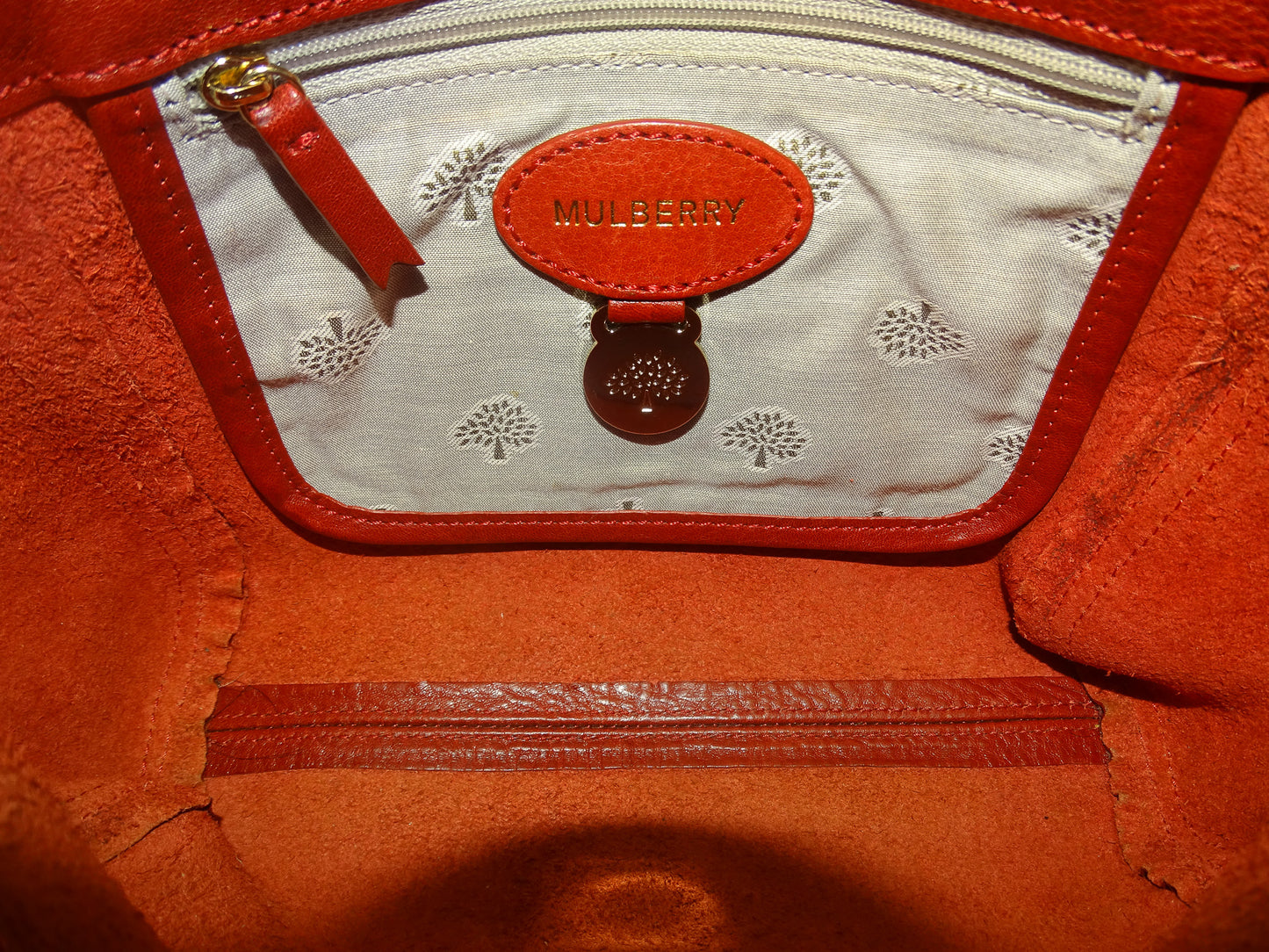 Mulberry Poppy Red Regular Lily GHW