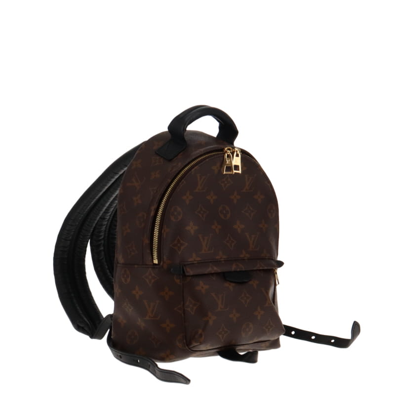 Louis Vuitton Palm Springs Backpack PM in Monogram